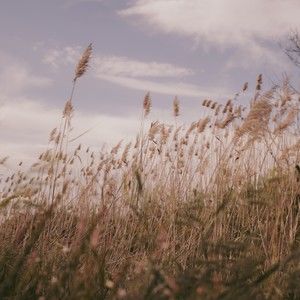 Meet your Posher, Autumn